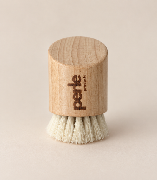 Brosse dépoussiérante